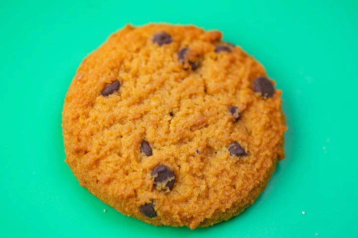 Daisy on the Ohoopee